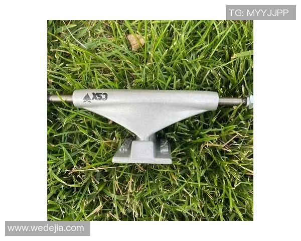 滑板装备选购指南及热门滑板推荐助你轻松入门滑板世界